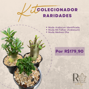 Kit Colecionador Raridades