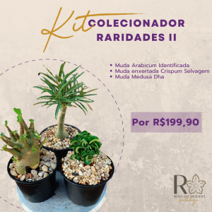 Kit Colecionador Raridades II