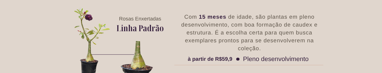 Linha Padrão