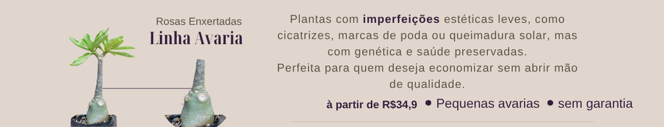Avarias
