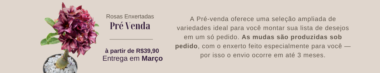 Pré Venda RDF.