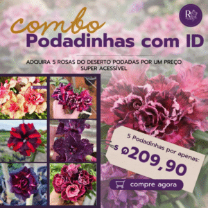 Rosa do Deserto Combo Podadinhas com Identificação (5 unidades) - Podadinhas - RDF Fortaleza