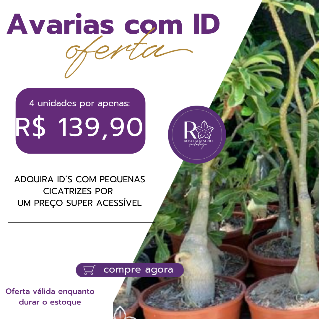 Mix Avarias com ID (4 unidades)