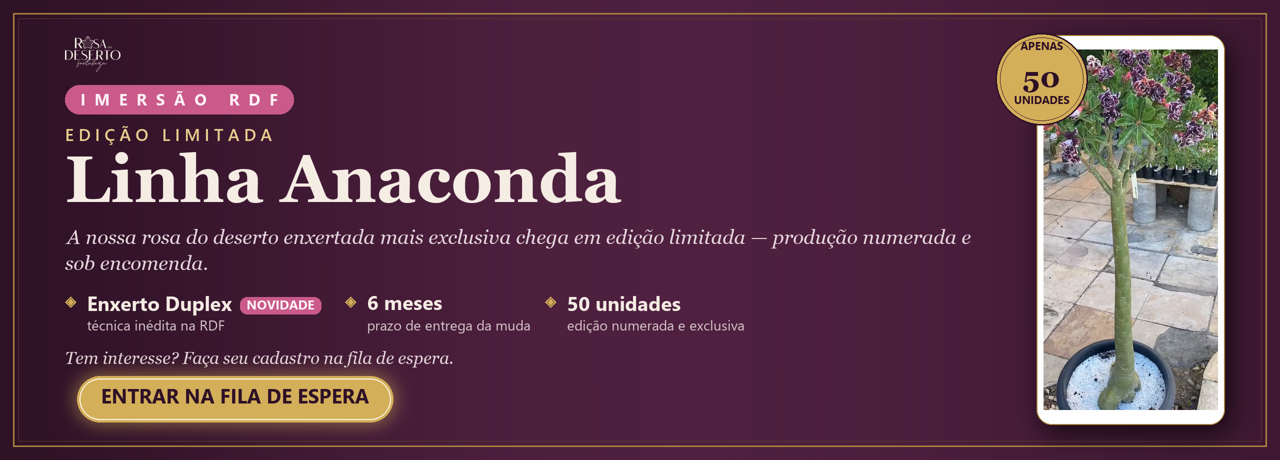 Imersão Anaconda RDF