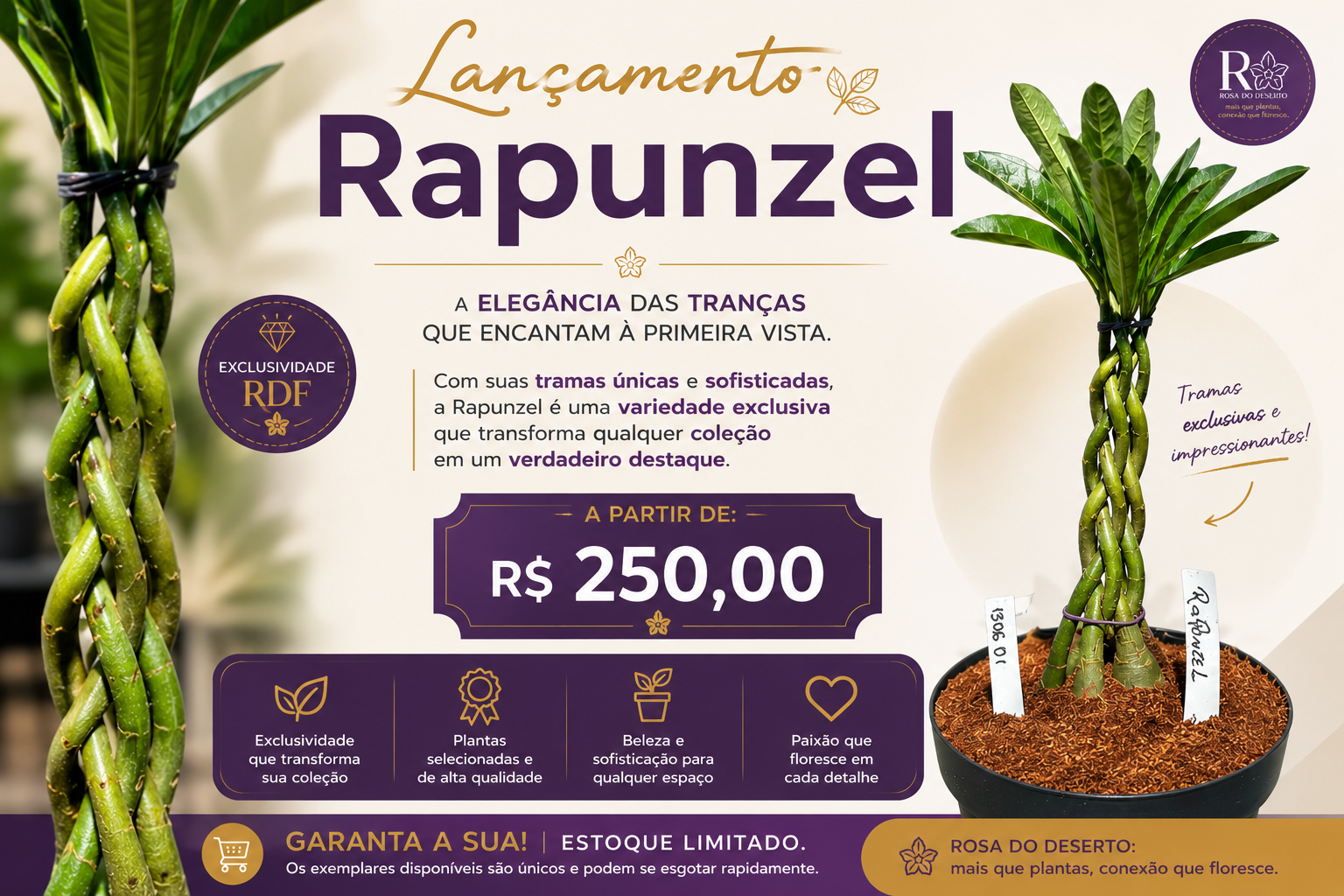 Linha Rapunzel