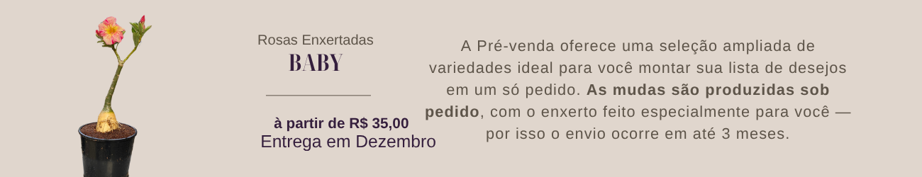 Pré Venda