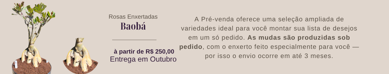 Pré Venda