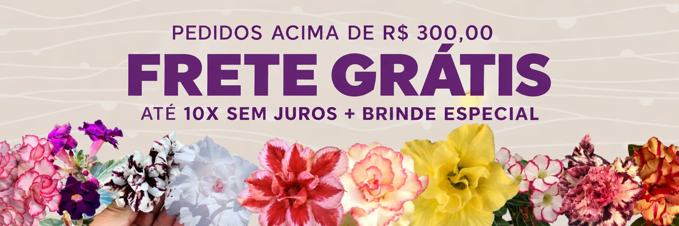 Pedidos acima de R$ 300: frete grátis, até 10x sem juros e brinde especial